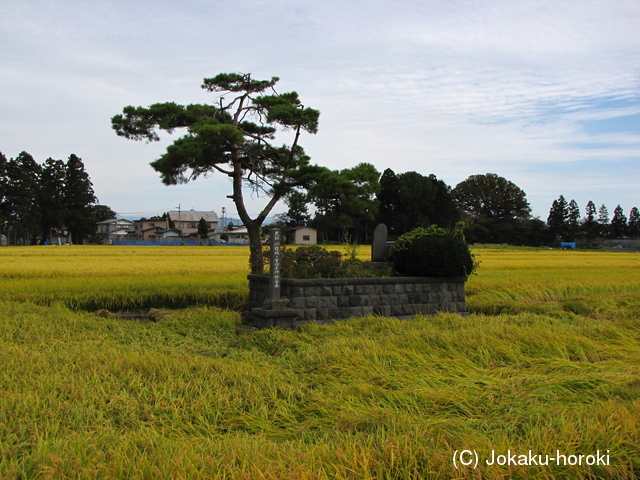 出羽 植田城の写真