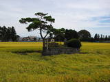 出羽 植田城の写真