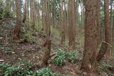 出羽 館岡城の写真
