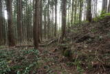 出羽 館岡城の写真