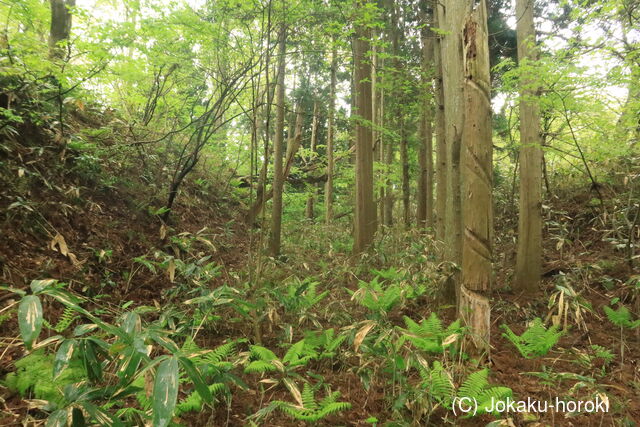 出羽 館山館(男鹿市)の写真