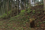 出羽 浦城の写真