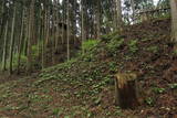 出羽 浦城の写真