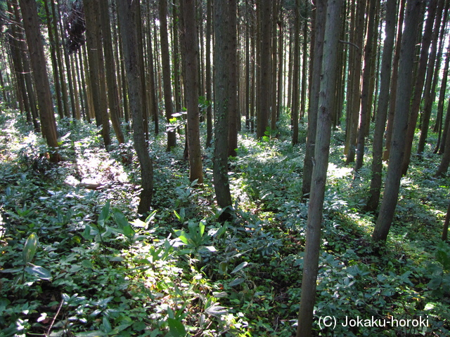 出羽 蕨岡館の写真