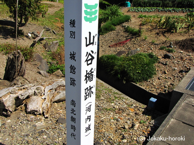 出羽 山谷楯の写真