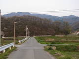 出羽 山崎山館の写真