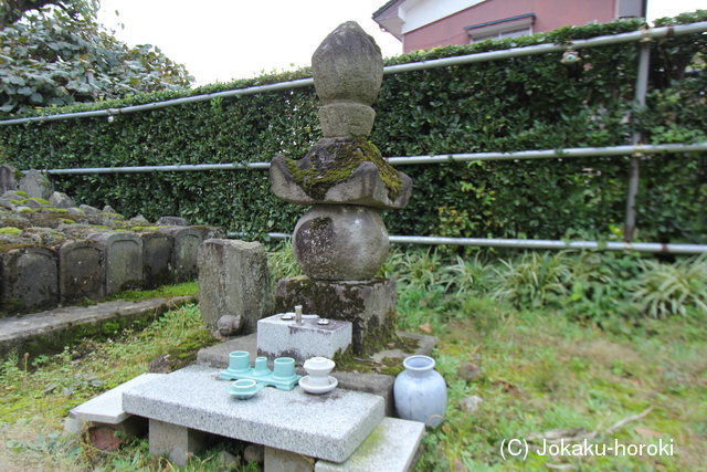 出羽 柳久瀬館の写真