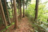 出羽 横沢山館の写真