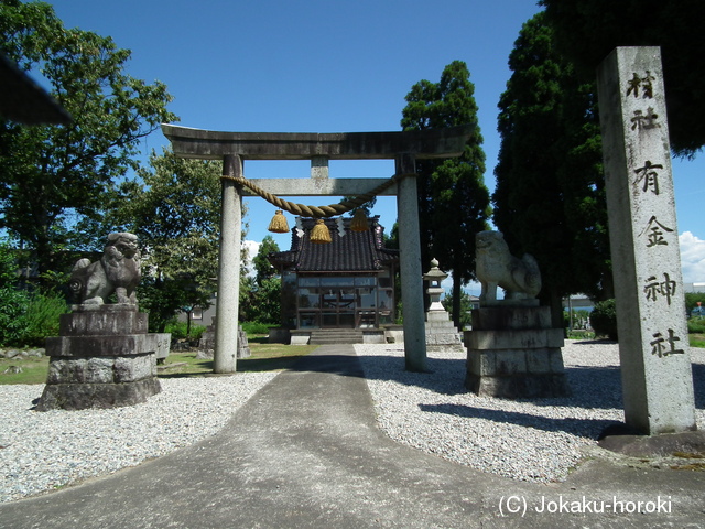 越中 有金館の写真