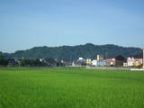 越中 朝日山城の写真
