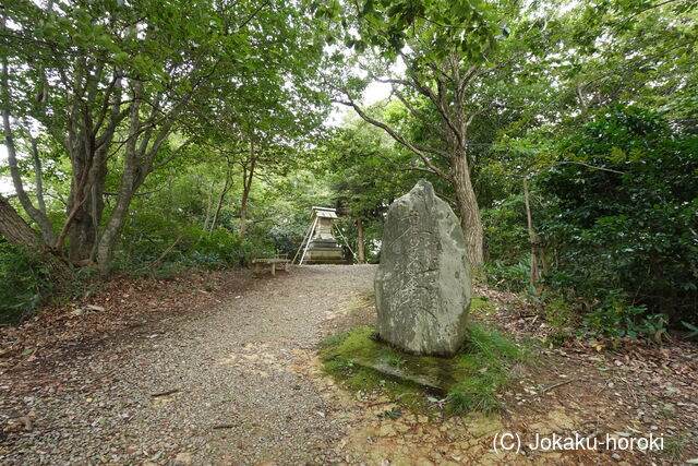 越中 二上山城の写真