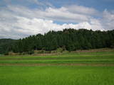 越中 郷田砦の写真