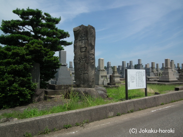 越中 井口城の写真