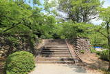 越中 寺家砦の写真