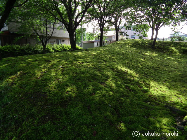 越中 寺家新屋敷館の写真