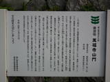 越中 城端城の写真