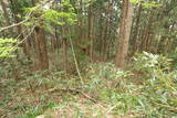 越中 樫ノ木城の写真