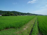 越中 川合田館の写真