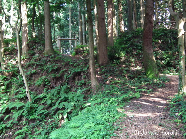 越中 増山城の写真