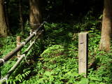 越中 増山城の写真