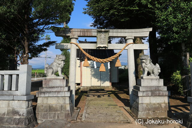 越中 森野新館の写真