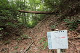 長沢城(西城)写真