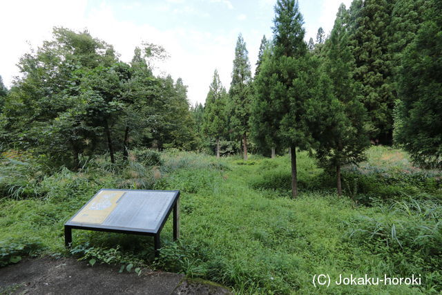 越中 中地山城の写真