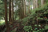 越中 中地山城の写真