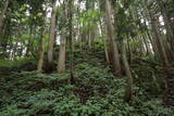 越中 中地山城の写真