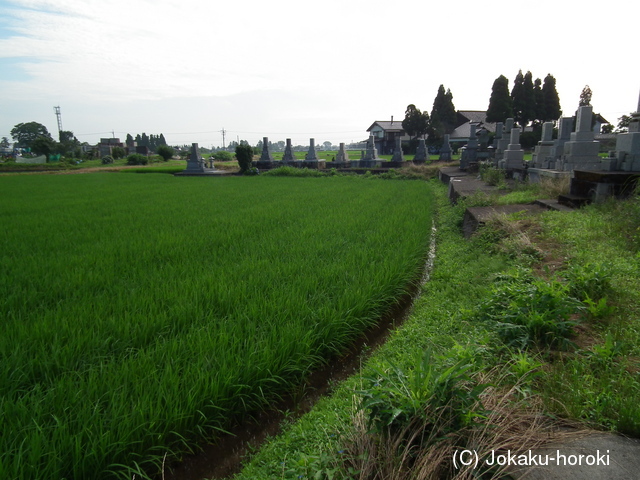 越中 小倉の土居の写真