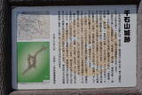越中 千石山城の写真