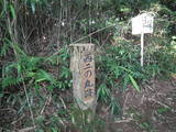 越中 白鳥城の写真
