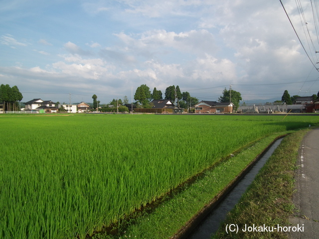 越中 館の土居の写真