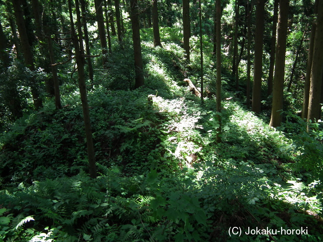 越中 上百山砦の写真