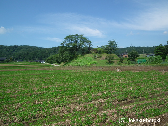 越中 山本城の写真