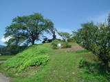 越中 山本城の写真