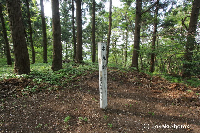 越後 赤田古城の写真