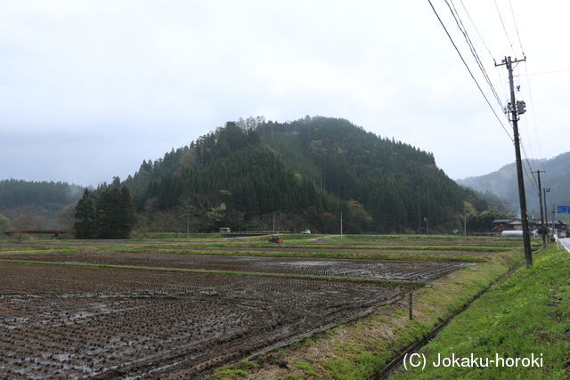 越後 荒川口城の写真