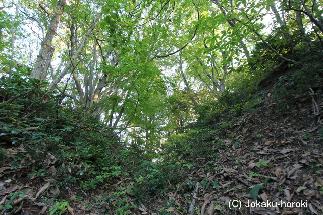 越後 米山寺城の写真