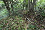 越後 米山寺城の写真