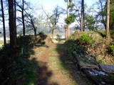 越後 琵琶懸城の写真