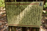 越後 茶臼山城の写真