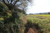 越後 藤井城の写真