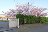 越後 福島城の写真