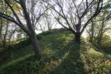 越後 二田城物見山砦の写真
