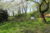 越後 護摩堂城の写真