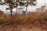 越後 鉢巻山城の写真