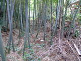 羽黒館写真