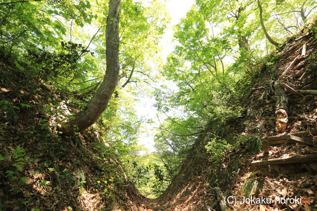 越後 秋葉山城の写真