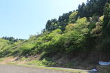 越後 秋葉山城の写真